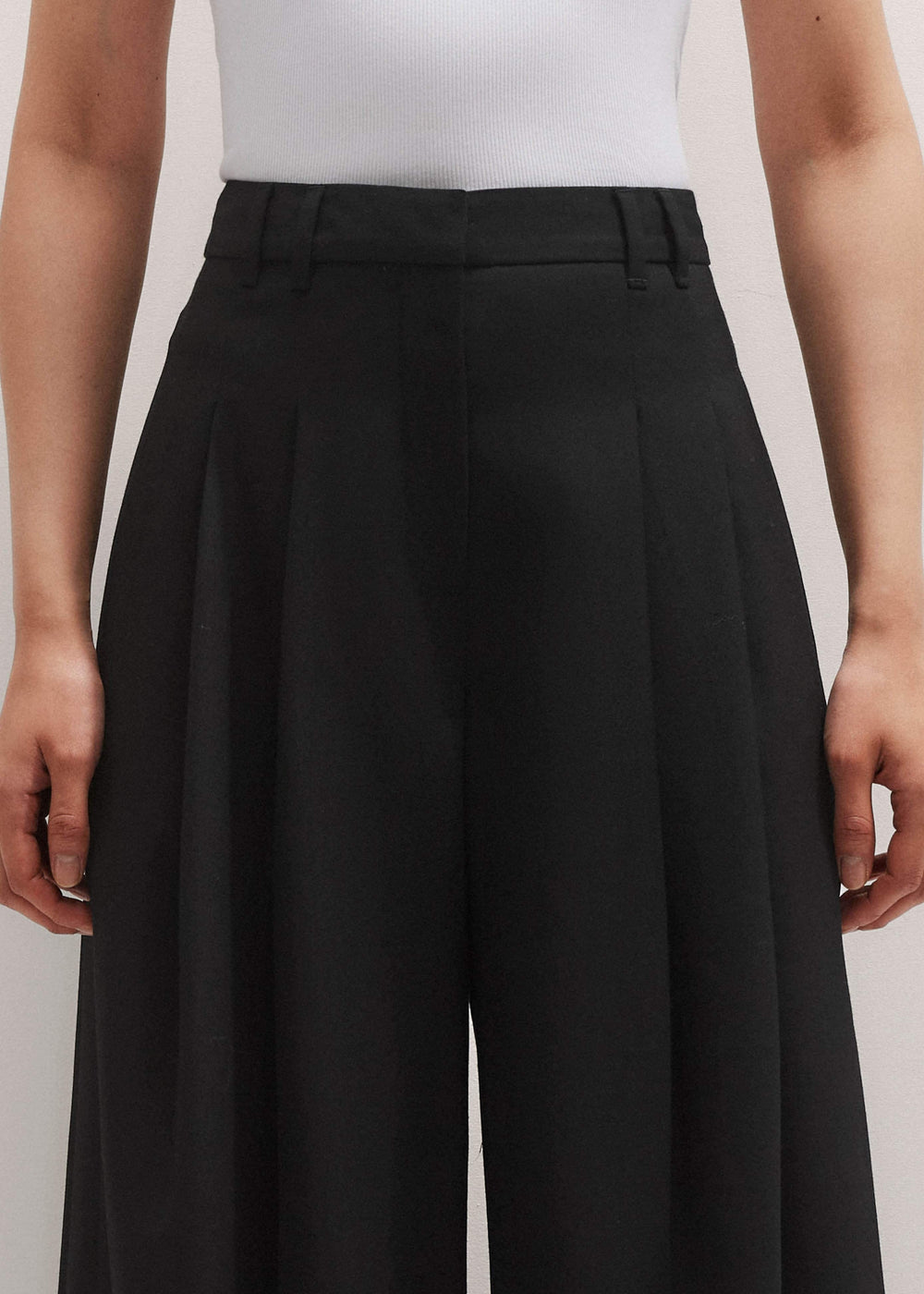 Black Wide-Leg Pleat Pant