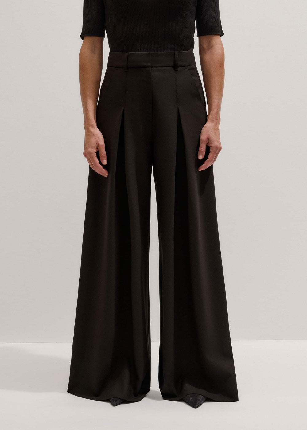 Brown Wool Ultimate Pleat-Front Wide-Leg Pant