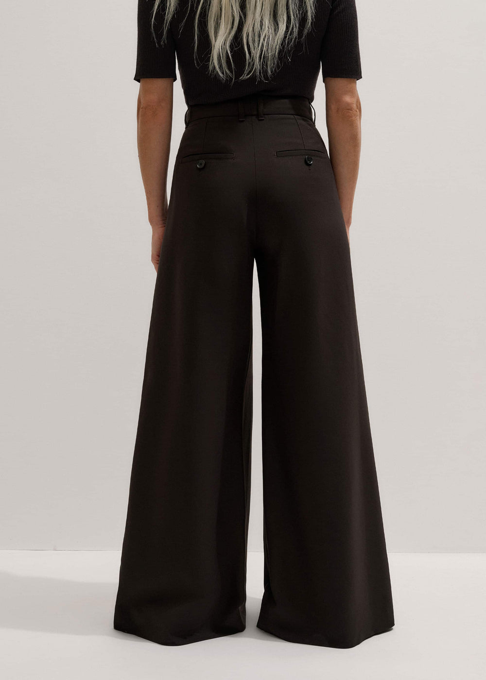 Brown Wool Ultimate Pleat-Front Wide-Leg Pant