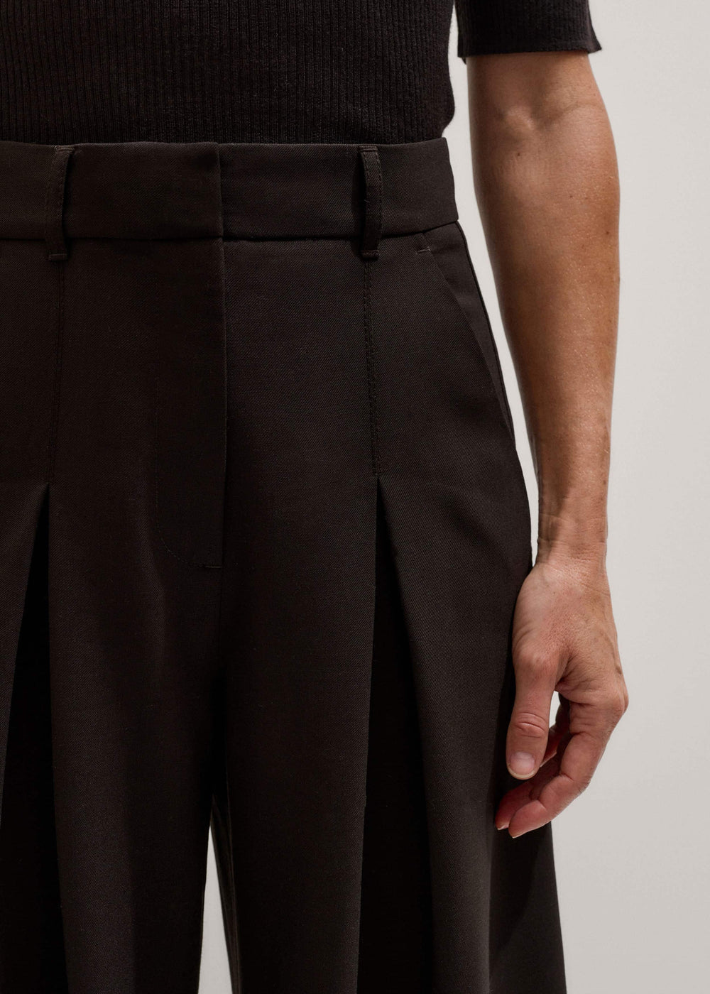 Brown Wool Ultimate Pleat-Front Wide-Leg Pant