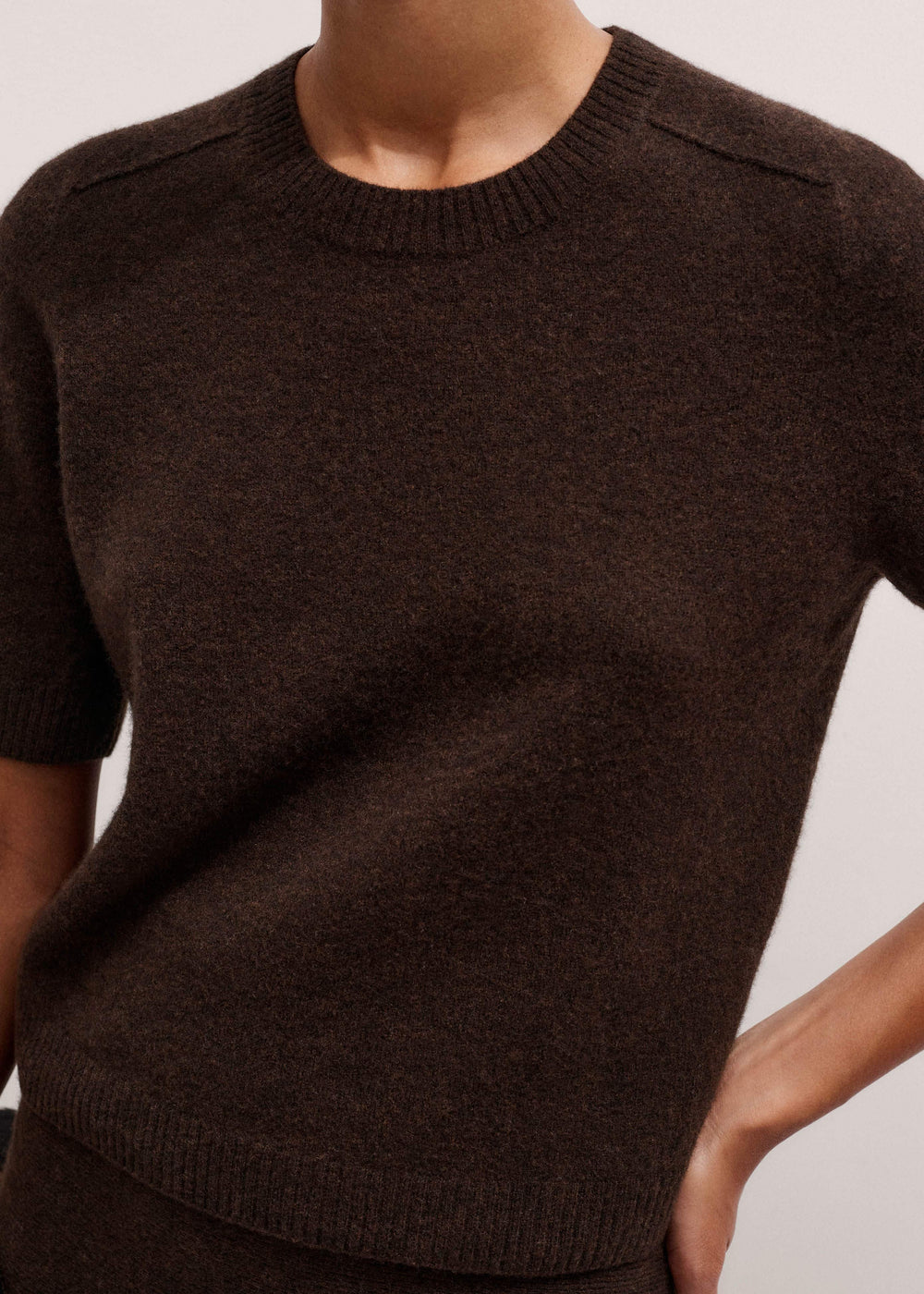 Brown Felted Knit Tee