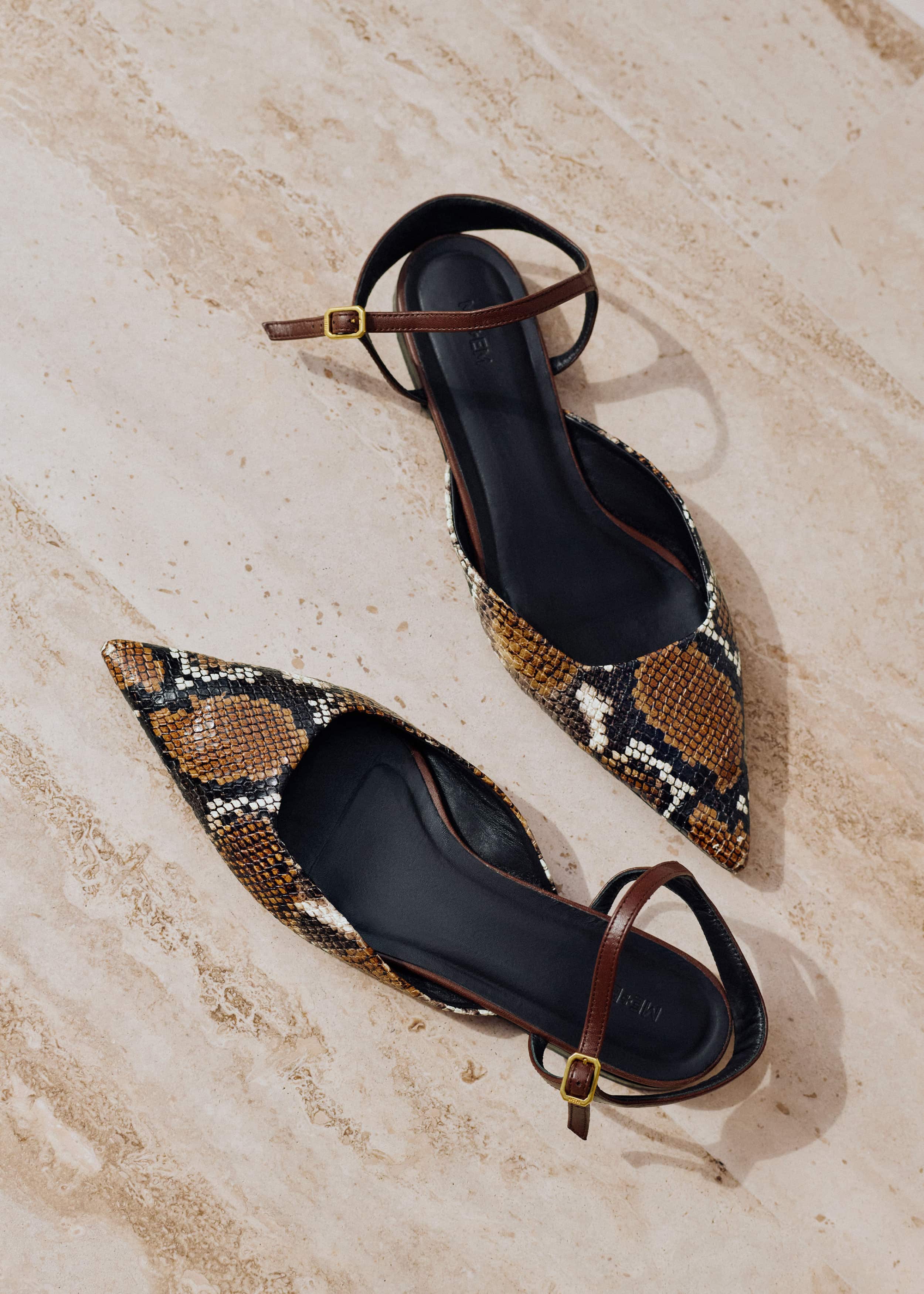Brown Point Toe Flat