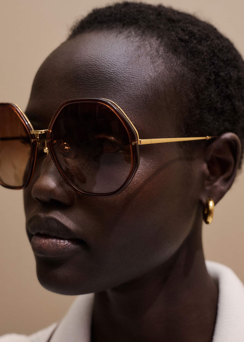 Cinnamon Hetagonal Frame Sunglasses